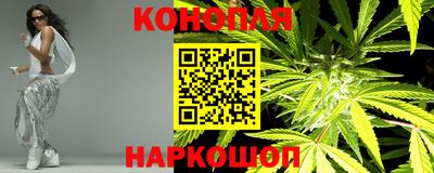 прущие крисы Кулебаки