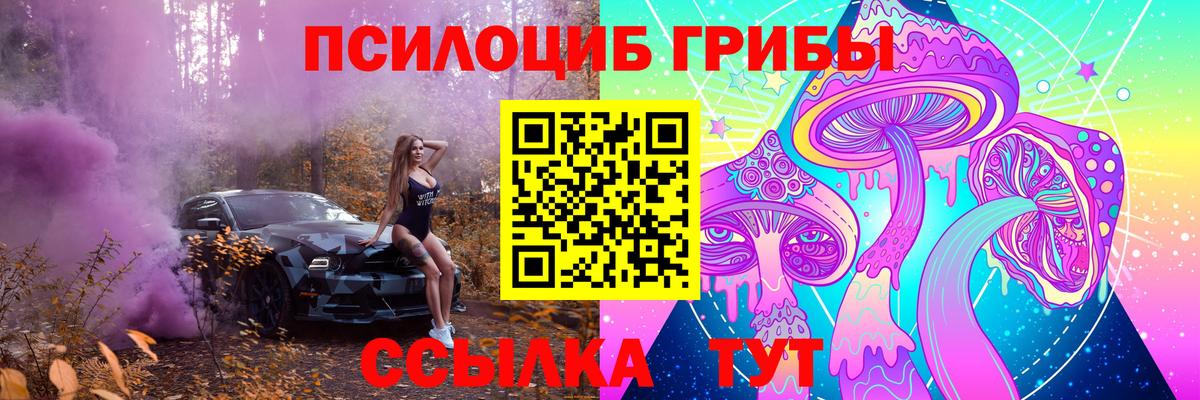 Камышин  Псилоцибиновые грибы Magic Shrooms  Вход с VPN  Галлюциногенные грибы прущие грибы 