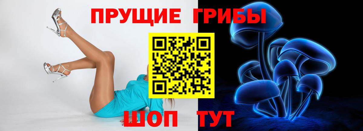 Псилоцибиновые грибы Psilocybine cubensis Камышин